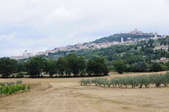 Verso Assisi 2011.07.23_4